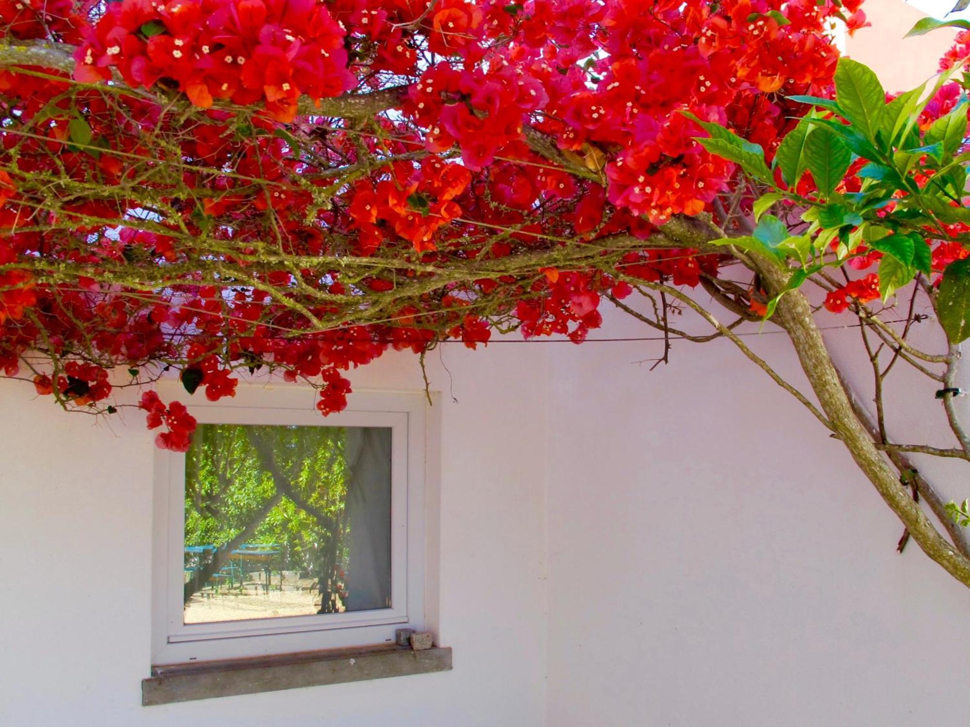 Seaya Villas カスカイス 部屋 写真
